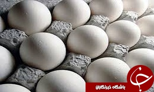 تخم مرغ بسته بندی 20 عددی 5 هزار و 700 تومان + جدول
