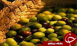 قیمت زیتون در سطح شهر