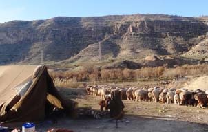 دیدنی ترین جاذبه عصر تكنولوژی، متعلق به عشایر