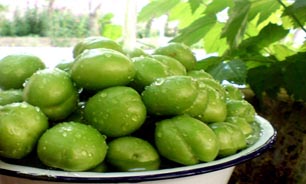 دست نیافتنی‌های خوشمزه/ با خواص گوجه سبز و چغاله بادام آشنا شوید