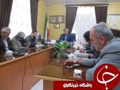 برگزاری جشنواره شقايق ها در تالش