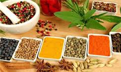 خراسان جنوبی ، یکی از قطب های تولید گیاهان دارویی کشور