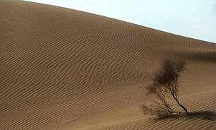 شناسایی 16 کانون بحران در استان خراسان رضوی