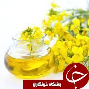 برداشت دانه روغني کلزا در گیلان آغاز شد
