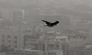 گرد و خاک پدیده غالب آسمان کشور