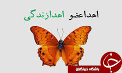 اهدا اعضا کودک 6 ساله بهاری