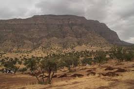 رفع تصرف بیش از100هکتار زمین های ملی در زاهدان