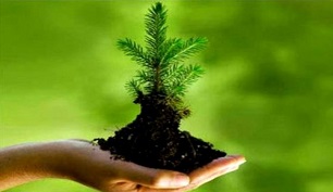 جایزه دهمین جشنواره جایزه ملی به دو جوان باینگانی رسید