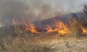 وقوع چهار مورد آتش سوزی از ابتدای امسال تاکنون