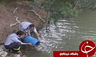 سازمان آتش نشانی قزوین ناجی هزاران ماهی