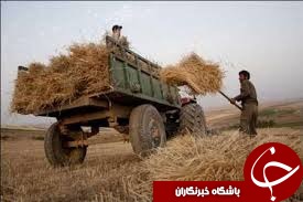 توزیع کود، بنزین و نفت گاز در بین کشاورزان بهبهان