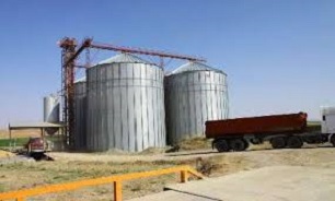 آمادگی سیلوهای کردستان برای ذخیره گندم خریداری شده از کشاورزان