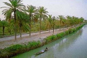 طرح مطالعه جامع  گردشگری به زودی درجزیره مینو