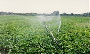 تیشه تغییر کاربری در روستاهای پردیس به ریشه اراضی کشاورزی اصابت نکرده است
