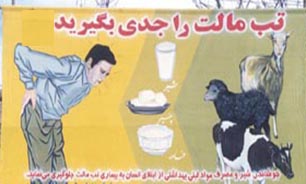 افزایش هفت درصدی مبتلایان به تب مالت در خراسان رضوی
