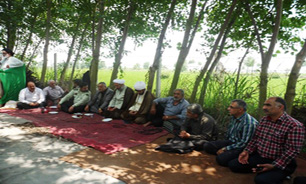 جشن پایان نشاکاری در میاندورود