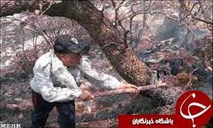 کاهش تخریب منابع طبیعی در قزوین