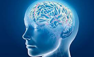 مشاهده منطقه خودخواهی در مغز