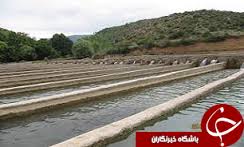 بهره برداری از 9 طرح کشاورزی شهرستان نهاوند در هفته جهاد کشاورزی