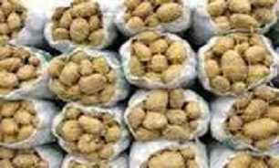 بهره برداری ازیک واحد سردخانه نگهداری میوه و سیب‌زمینی در قروه