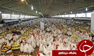 افتتاح دو طرح کشاورزی در رودبار