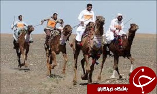 احداث کمپ‌های شترسواری در بوئین زهرا