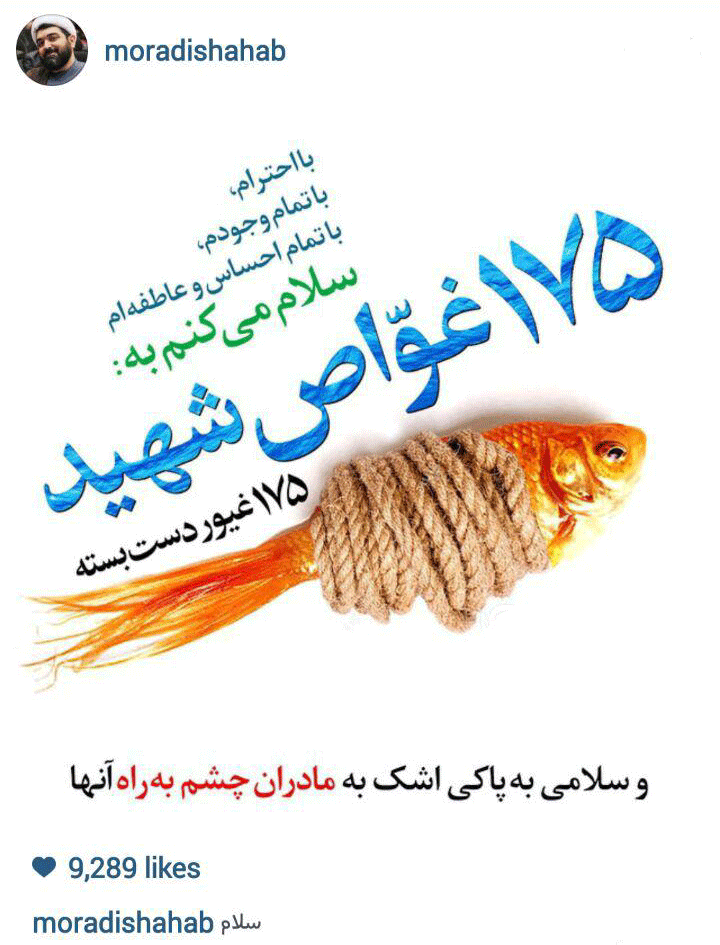دعوت اینستاگرامی شهاب مرادی