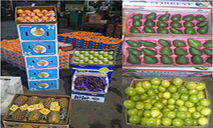 دلالی میوه های قاچاق توسط تعاونی مصرف فرهنگیان + صوت