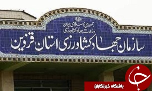 اجرای 14 سایت جامع الگویی تولیدی-ترویجی