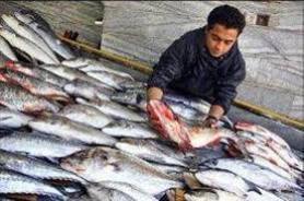 شیلات سیستان و بلوچستان می تواند محور توسعه کشور باشد