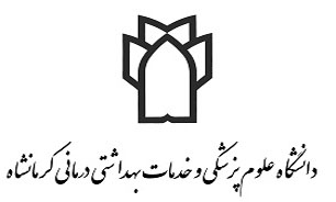 برگزاری انتخابات نظام پرستاری در استان کرمانشاه همزمان با سراسر کشور