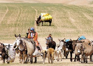 ساماندهی 10هزار و 500 خانوار عشايري
