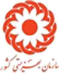 فعالیت های بهزیستی کرمان جز پنج استان برتر کشور است