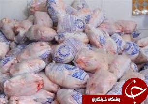 543 کیلوگرم مرغ کشتار روز معدوم شد