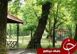 افتتاح بزرگترین پارک جنگلی شمال ایران در رشت
