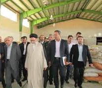 کارخانه 5 هزار تنی فرآوری کشمش