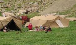 اردبیل پایلوت بهداشت عشایر کشور شد