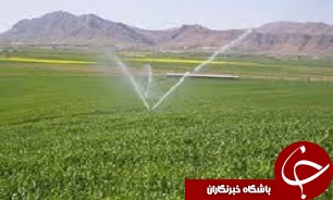 تسهیلات بانکی برای تغییر سیستم آبیاری در قزوین پرداخت می‌شود