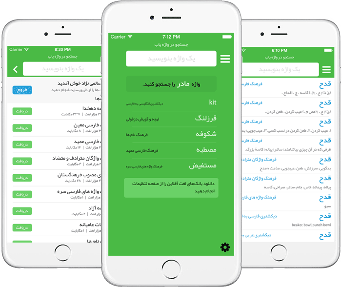 ده ها کتاب لغت نامه را یکجا داشته باشید