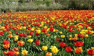 ایجاد منطقه نمونه گردشگری «گیلوان» در خلخال