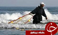 آغاز صید کیلکا در گیلان