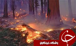 انجام 60 عملیات اطفای حریق در گیلان