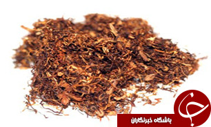 افزودنی های تنباکو آسیب جدی به مصرف کنندگان قلیان وارد می کند