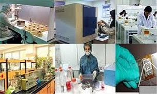 برگزاری نمایشگاه توانمندی شرکت های دانش بنیان در کردستان