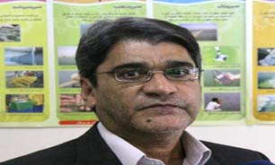 صدور بیش از ۱۴ مجوز تکثیر و پرورش ماهیان دریایی در قفس