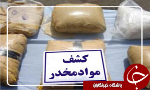کشف تره بارحشیشی در یزد