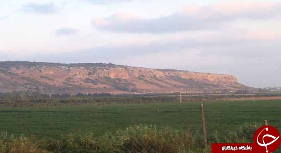 بندر حیفا/جهنمی سوزان در جولای و آگوست 2006
