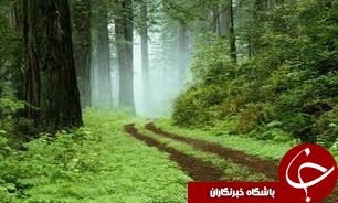 ساخت سایت بازدید از حیات وحش در جنگل گلستان