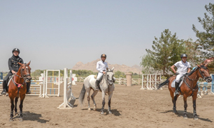 برگزاری کلنیک آموزش سوار برای سوارکاران برگزاری کلنیک آموزش سوار برای سوارکاران