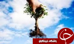 توزیع 600 هزار اصله نهال به متقاضیان در استان گلستان